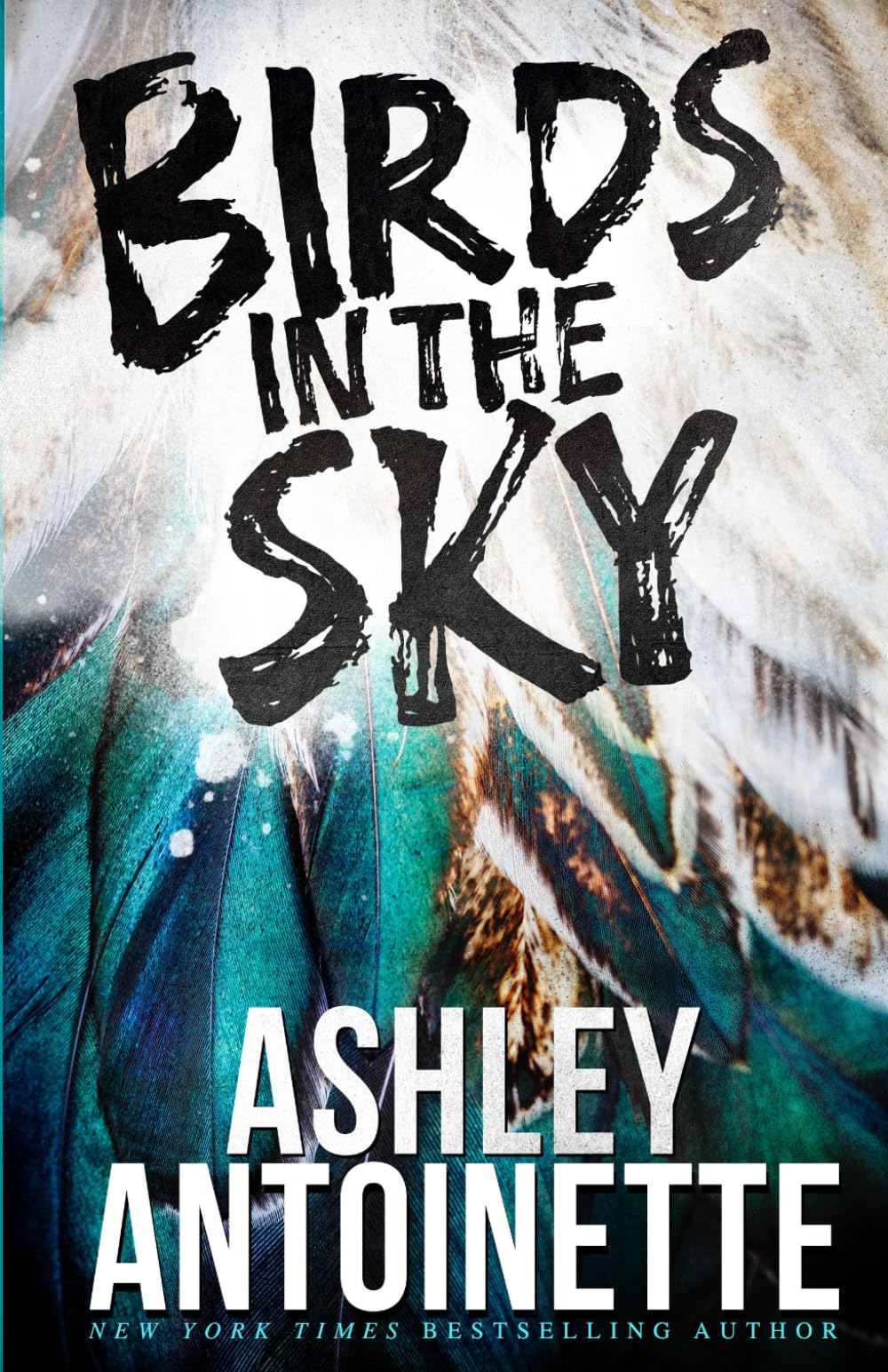 Ashley Bird  ♡ alexiastam Beautiful Blackbird: Bryan, Ashley, Bryan, Ashley: 9780689847318
